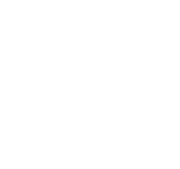 John Amesse white logo